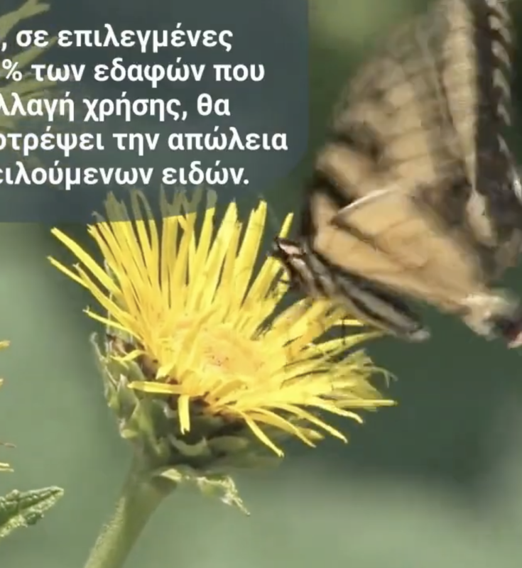 Ημέρα Περιβάλλοντος 2021: Δημιουργία επιμορφωτικού βίντεο από το ΚΠΕ Καστοριάς